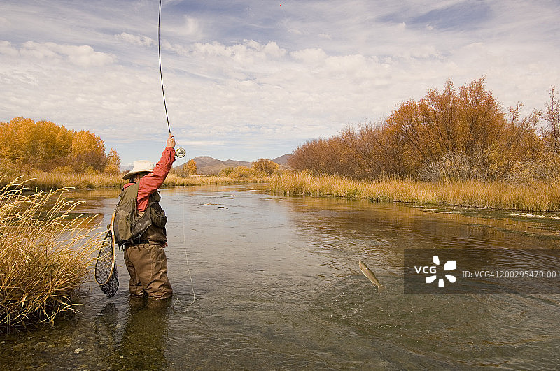 美国爱达荷州银溪中年男人飞蝇钓鳟鱼图片素材