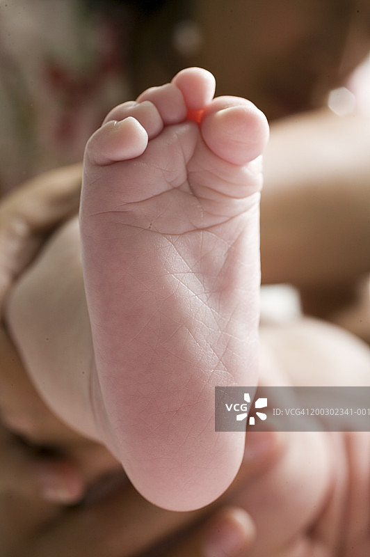 母亲握着婴儿（3-6个月）的腿，脚部特写，下半部分图片素材