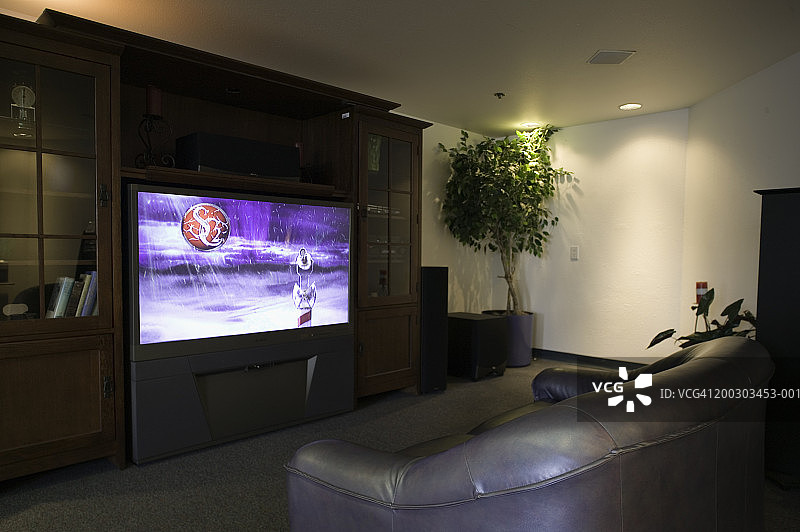 带书柜宽屏电视的电视房图片素材