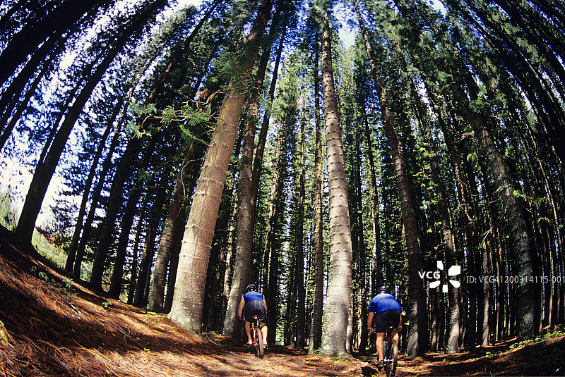 两个男人在森林里骑自行车图片素材