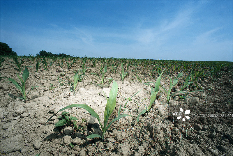 干燥的泥土特写图片素材