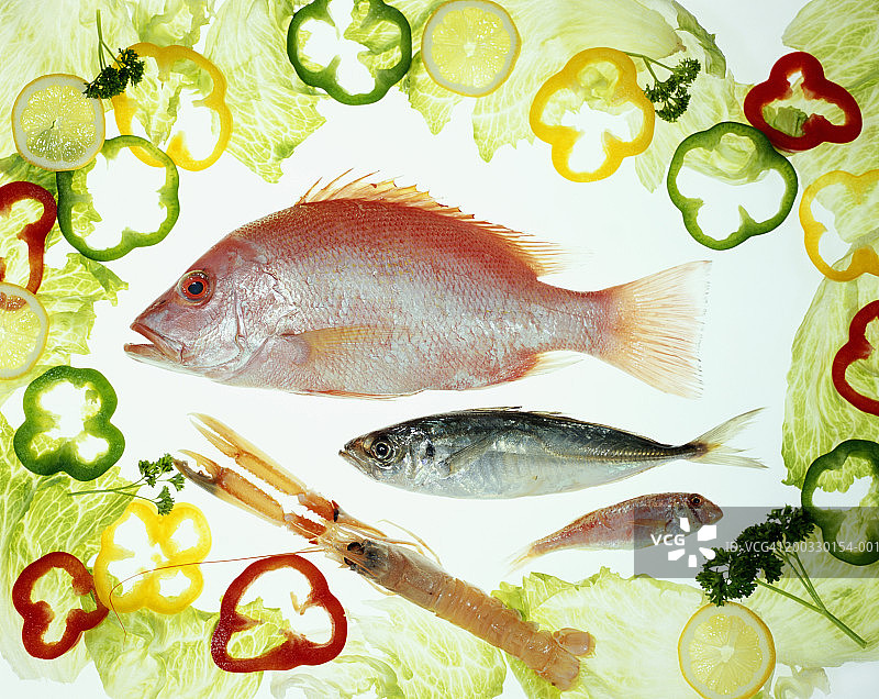 白色背景上沙拉环绕的红鲷鱼和各种鱼图片素材