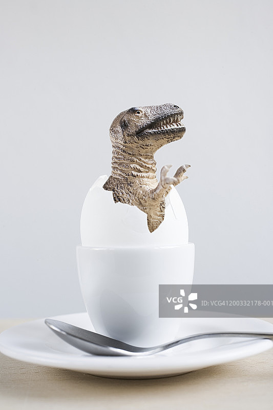 蛋壳中的霸王龙模型（数字合成）图片素材