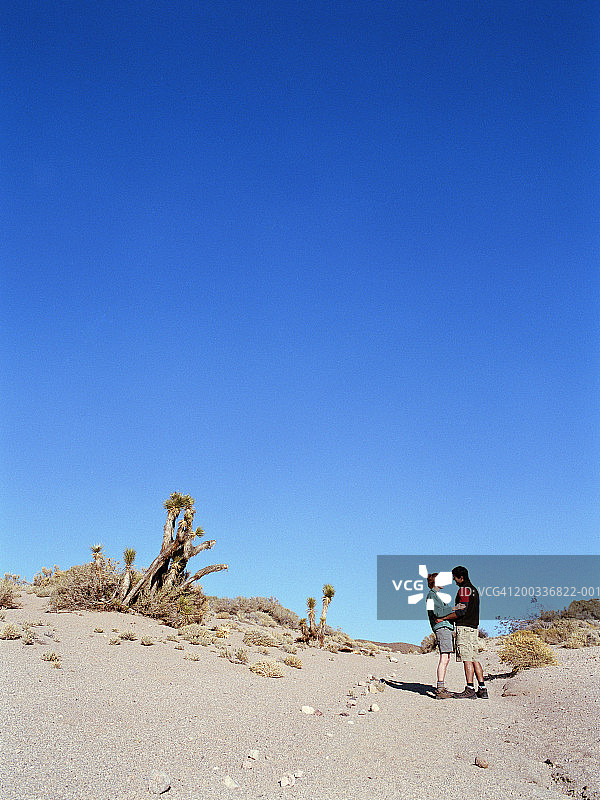 沙漠中的年轻夫妇图片素材