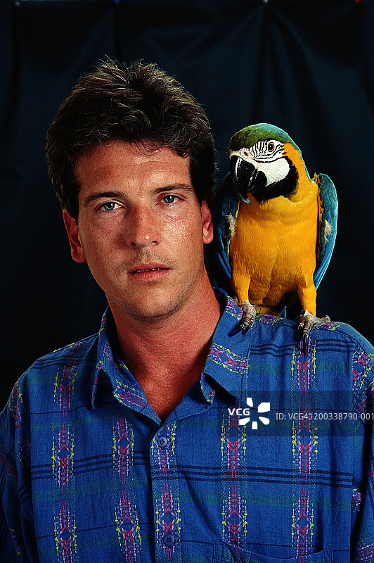 肩扛蓝色和金色金刚鹦鹉的男人肖像图片素材