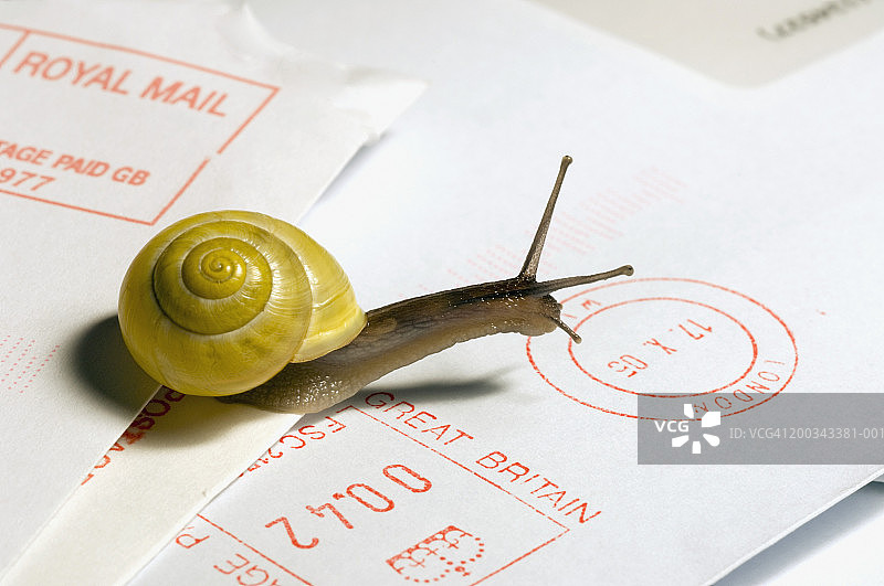 白色条纹蜗牛在邮件上，特写图片素材