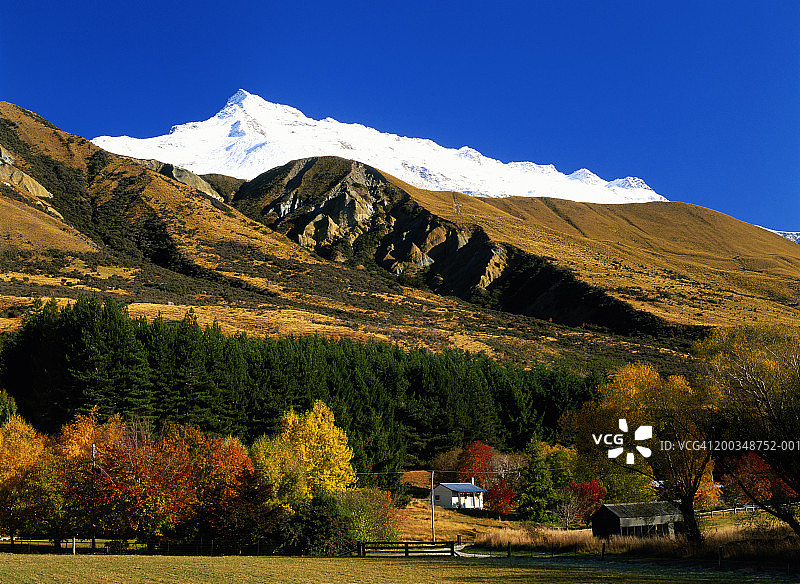 新西兰南岛秋色雪山图片素材
