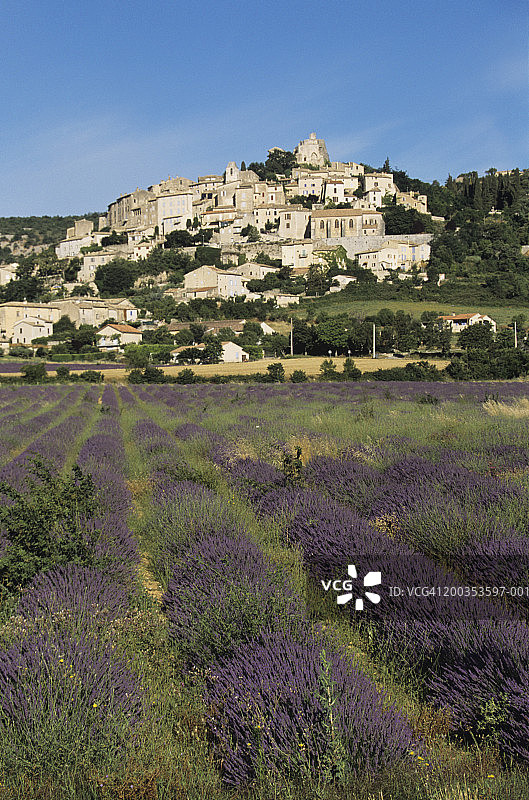 法国普罗旺斯，薰衣草田上方的奥雷尔村图片素材