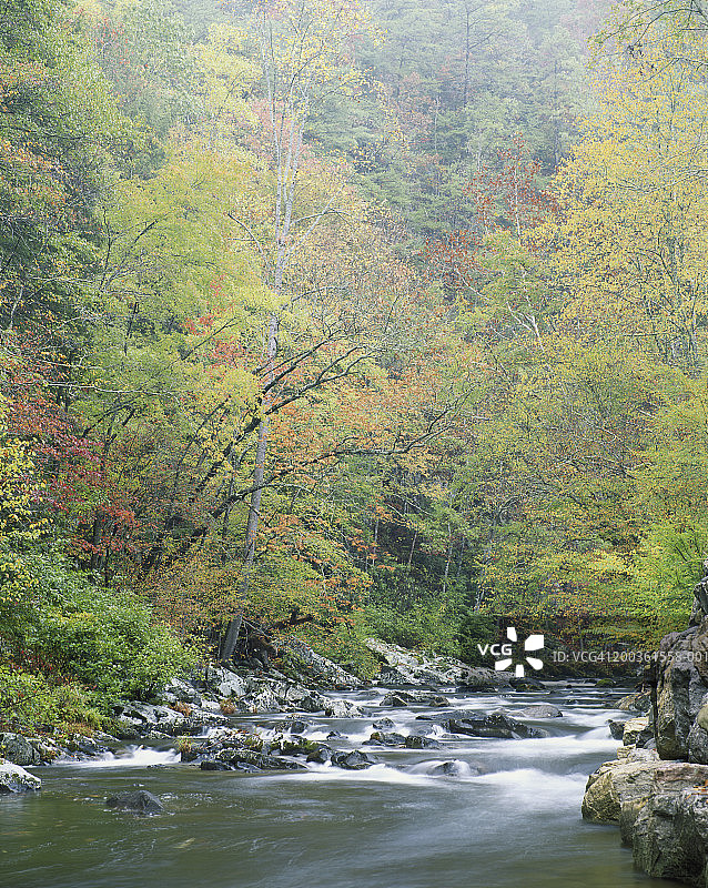 美国田纳西州秋叶环绕的小鸽子河图片素材