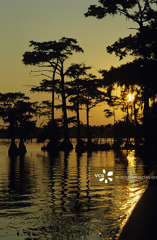 美国北卡罗来纳州马塔马斯基特湖图片素材