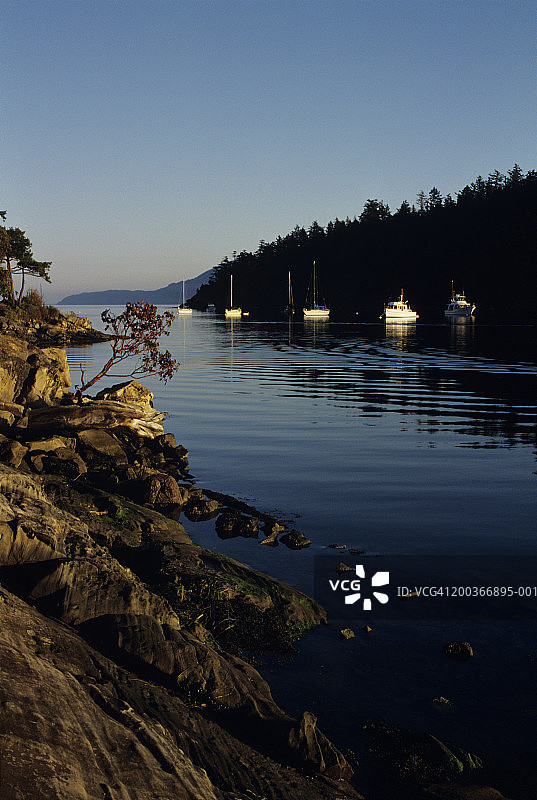 小河穿过森林，船只停泊在河边，苏西亚岛，圣胡安群岛，华盛顿州，美国图片素材