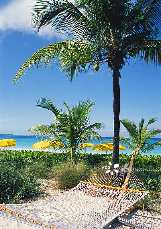 沙滩上的吊床和棕榈树，背景是遮阳伞图片素材