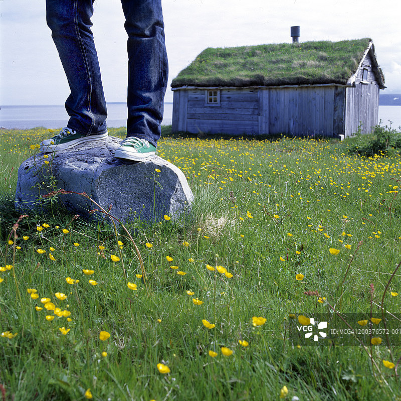 女子站在田野的岩石上，低角度拍摄图片素材