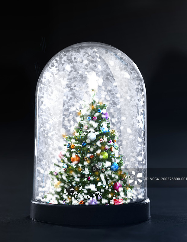 雪景球中的圣诞树图片素材