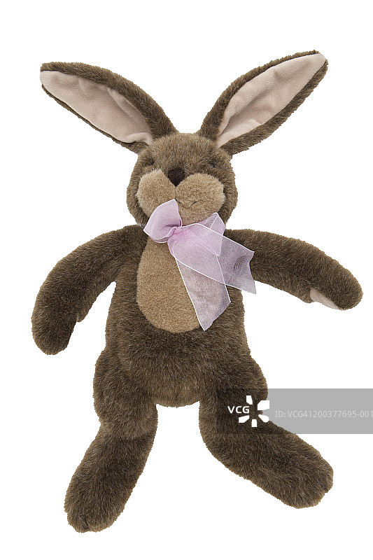 毛绒兔子图片素材