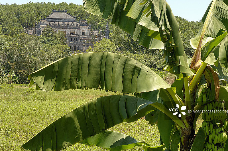 越南顺化启定皇陵（焦点为前景的香蕉树）图片素材