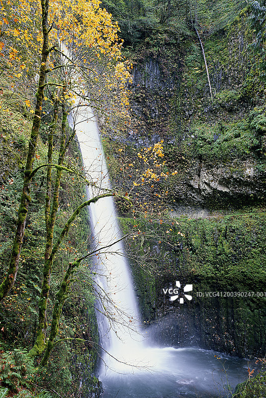 美国俄勒冈州哥伦比亚河老鹰溪隧道瀑布秋景图片素材