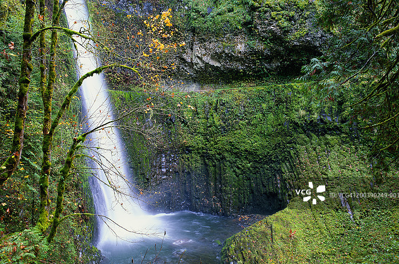 美国俄勒冈州哥伦比亚河老鹰溪隧道瀑布秋景图片素材