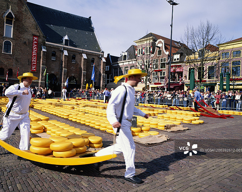 荷兰，阿克马，奶酪市场图片素材
