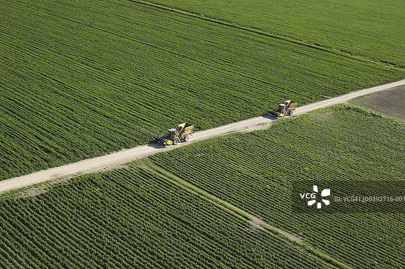 美国佛罗里达州霍姆斯特德农作物鸟瞰图图片素材