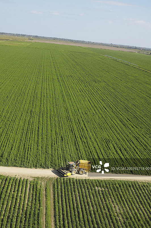 美国佛罗里达州霍姆斯特德农作物鸟瞰图图片素材