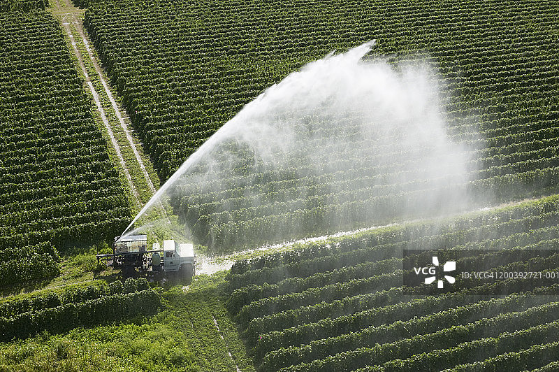 美国佛罗里达州霍姆斯特德农作物鸟瞰图图片素材