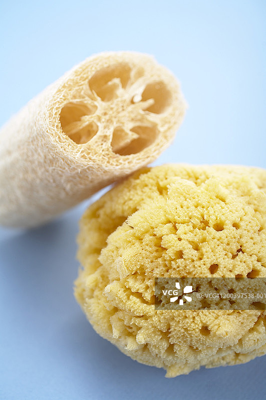 丝瓜络和海绵特写图片素材