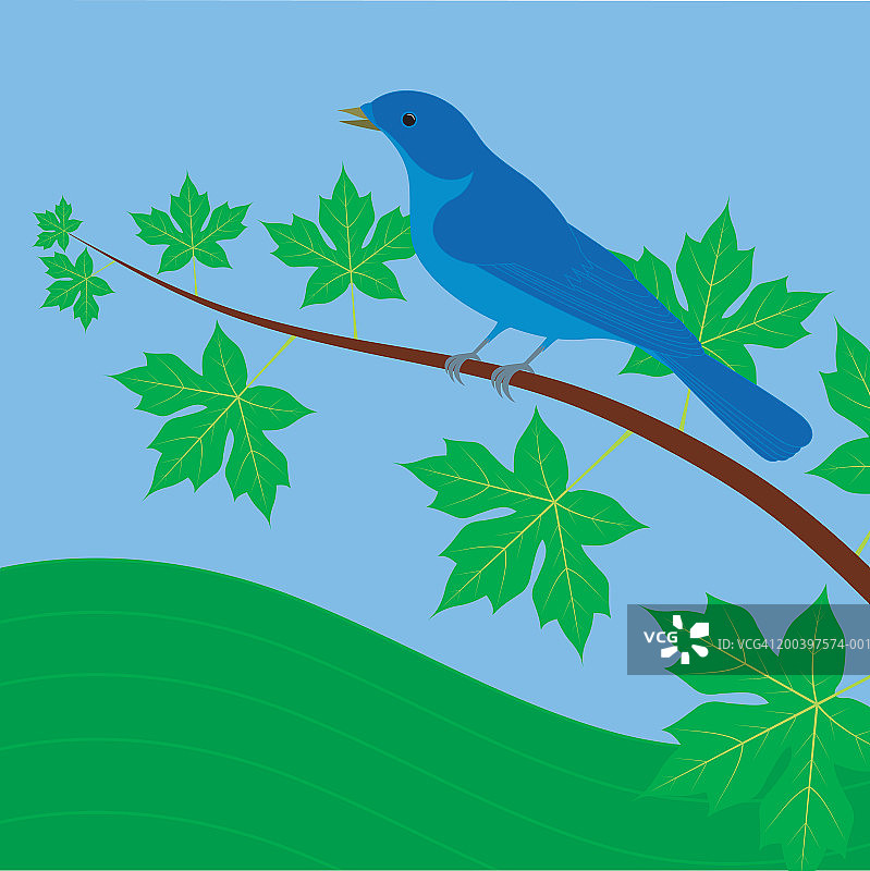 鸟儿栖息在树枝上，春天图片素材