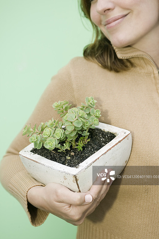 女人拿着景天三七图片素材