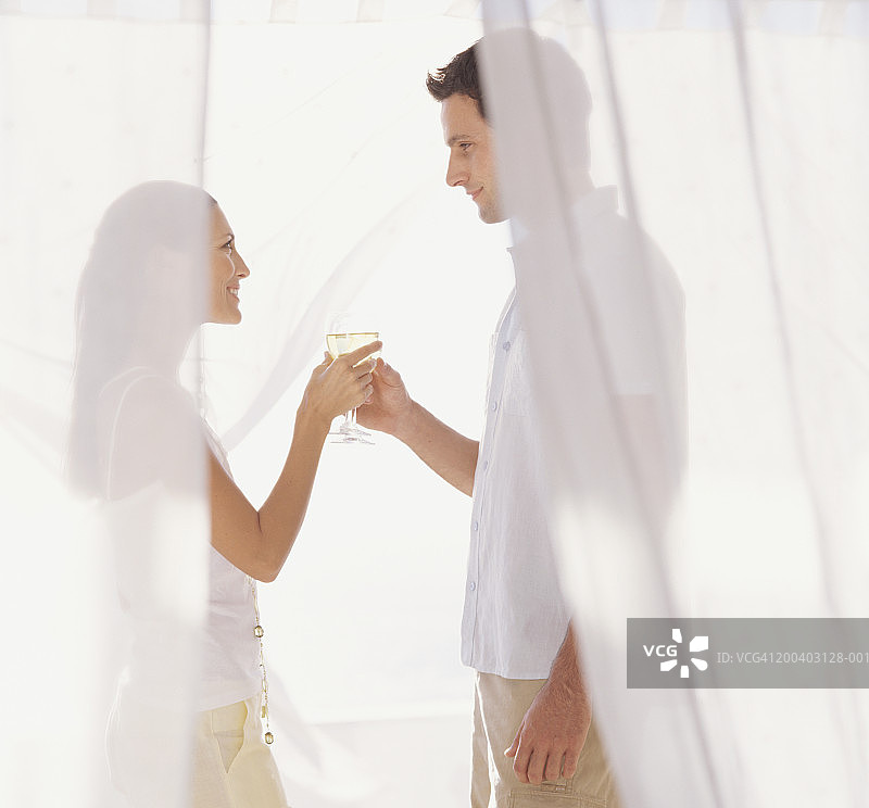 年轻夫妇隔着网敬白葡萄酒图片素材