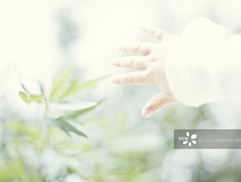 儿童的手伸向叶子图片素材