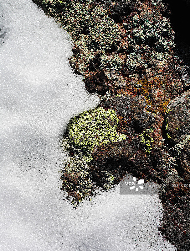 岩石上的雪和苔藓图片素材