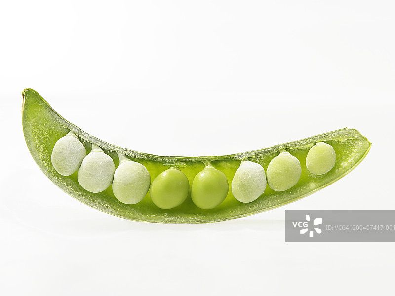 一排豌豆图片素材