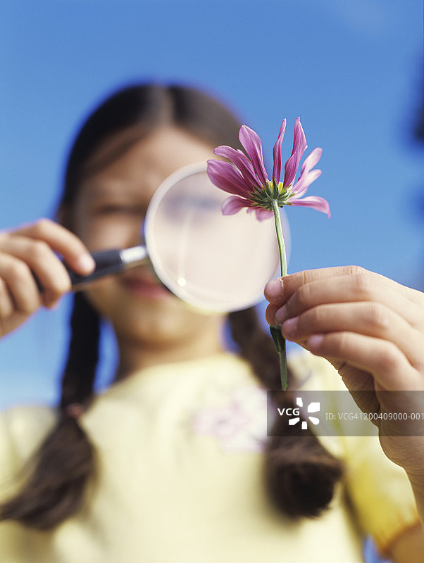 小女孩用放大镜观察花朵特写图片素材
