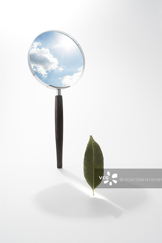 放大镜下的天空和云彩，照耀着树叶图片素材