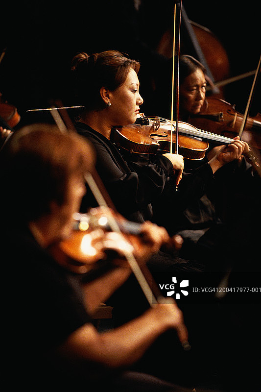 乐队中的小提琴声部演奏（聚焦女性）图片素材