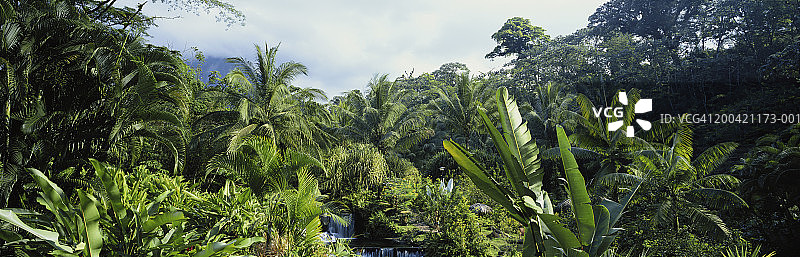哥斯达黎加塔巴孔温泉，阿雷纳火山背景图片素材