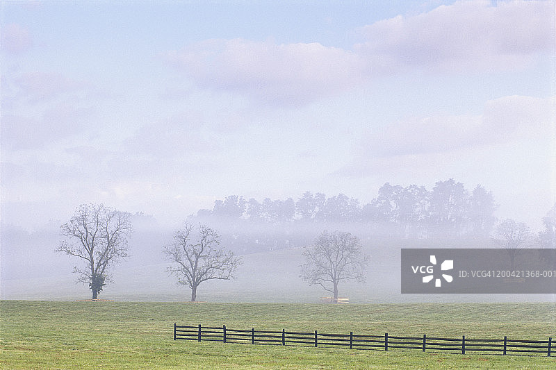 夏季日出时牧场雾中栅栏图片素材