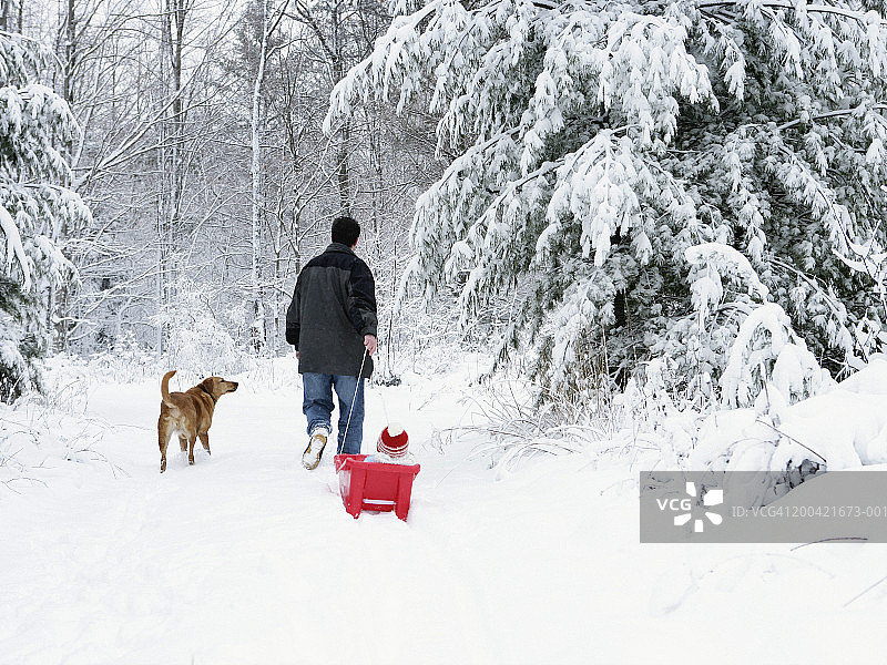 男人与狗雪中拉小男孩背影图片素材