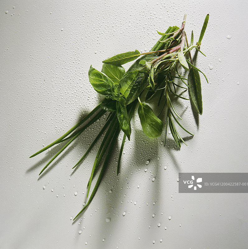 香草花束图片素材