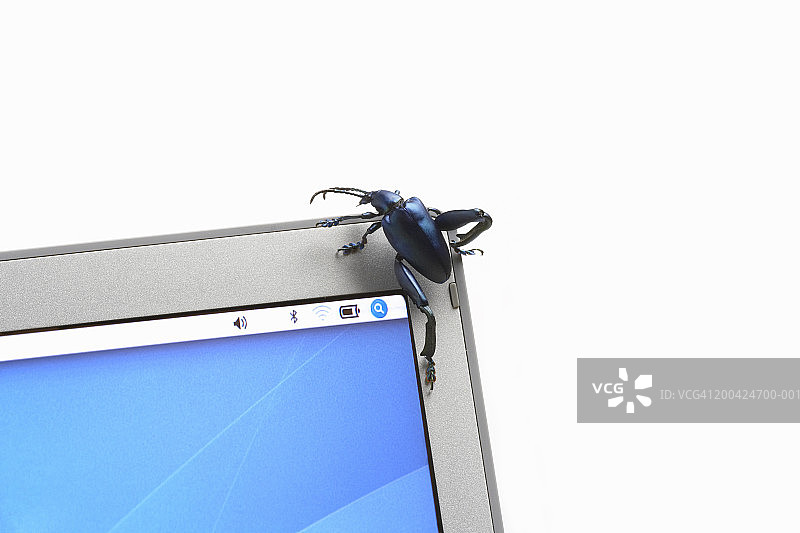 笔记本电脑屏幕角落里的大型蛙形甲虫特写图片素材