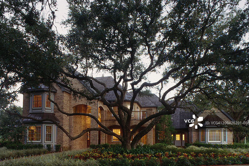 砖房前的橡树（栎属），黄昏图片素材