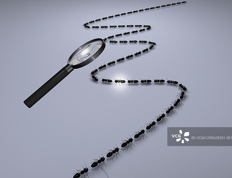 放大镜下排队行走的蚂蚁图片素材