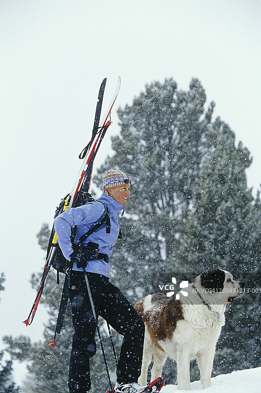在暴风雪中和圣伯纳犬一起穿着滑雪板雪鞋行走的女人图片素材