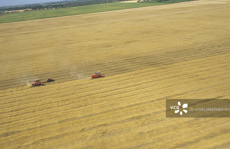 小麦丰收，田野航拍图片素材