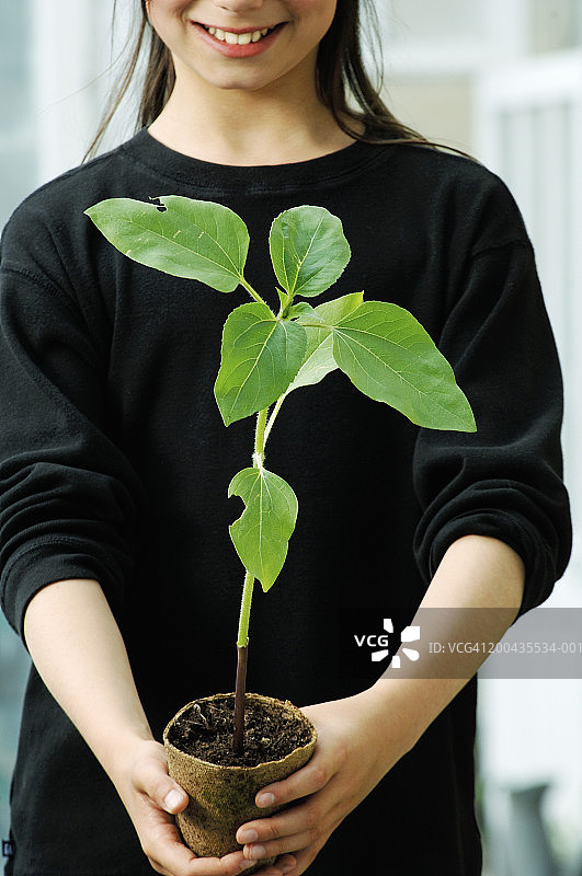 女孩（9-11岁）抱着向日葵幼苗，中部特写图片素材