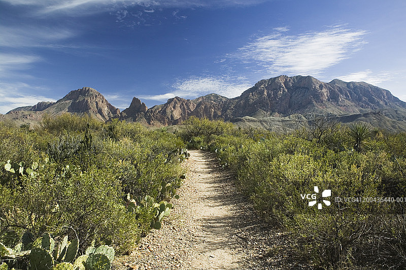 美国德克萨斯州大弯国家公园奇索斯山脉徒步道图片素材