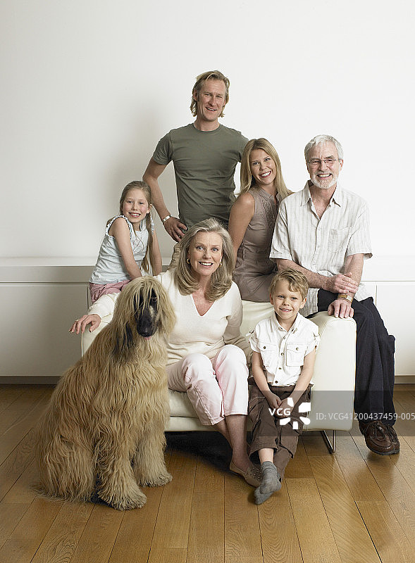 一家人围坐在扶手椅旁，阿富汗猎犬，微笑，肖像图片素材
