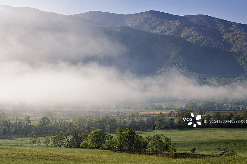 美国田纳西州大雾山国家公园，山谷上的雾图片素材
