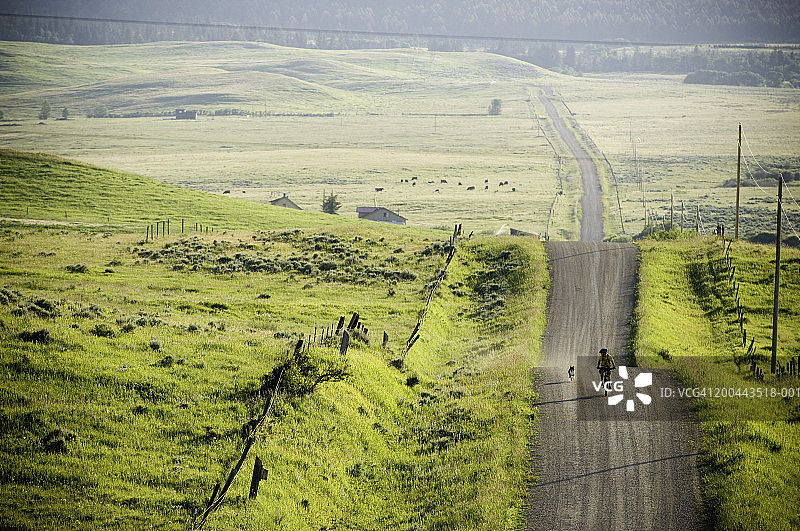 年轻男人在乡村道路上骑自行车，狗在旁边奔跑图片素材